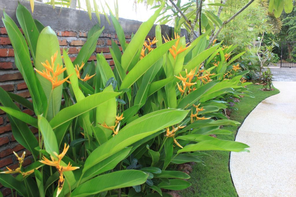 Albany Home Stay Kuta  المظهر الخارجي الصورة